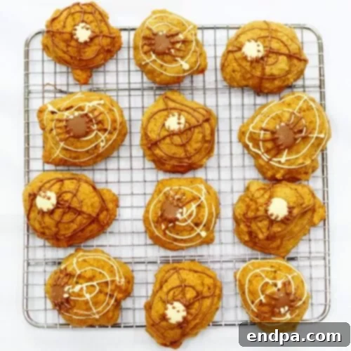 Wickedly Wonderful Halloween Cookie Ideas 38 Moist, light, and flavorful Spiced Pumpkin Raisin Cookies, soft and cake-like