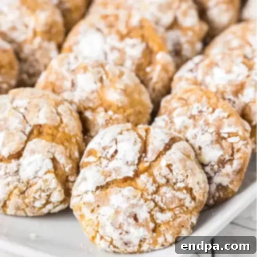 Wickedly Wonderful Halloween Cookie Ideas 4 Soft and delicious pumpkin cookies packed with pumpkin flavor