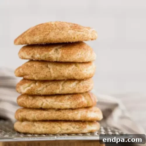 Wickedly Wonderful Halloween Cookie Ideas 5 Soft and chewy snickerdoodle cookies