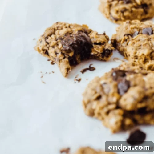 Wickedly Wonderful Halloween Cookie Ideas 6 Healthy and delicious sweet potato cookies with chocolate and oats