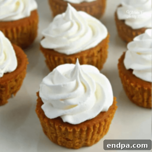 Miniature Pumpkin Pie Cupcakes, perfect for a Thanksgiving treat.