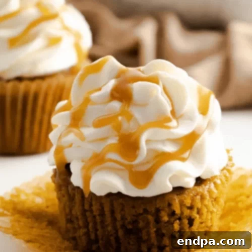 Cozy Pumpkin Spice Latte Cupcakes with frothy topping and cinnamon dust.