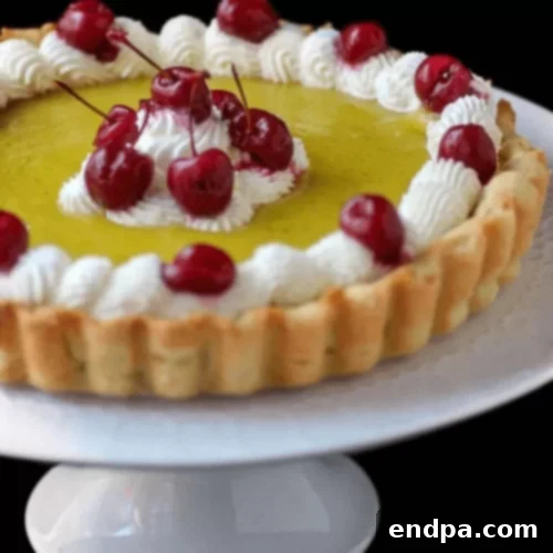 The Ultimate Collection of Tangy Lime Desserts 21 Cherry lime tart with a green lime crust, topped with fresh cherries.