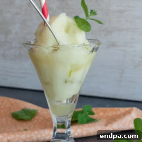 The Ultimate Collection of Tangy Lime Desserts 29 Scoops of homemade Italian lime sorbet in a glass bowl, garnished with fresh mint.