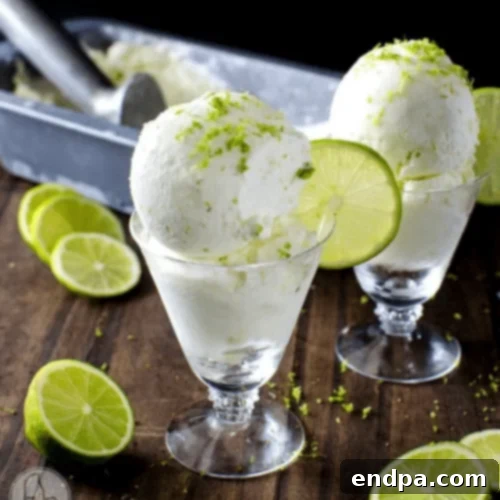The Ultimate Collection of Tangy Lime Desserts 30 Scoops of salted lime sherbet in a bowl, garnished with lime slices.