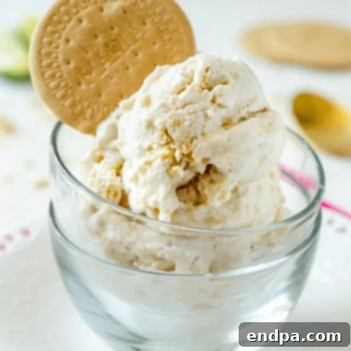 The Ultimate Collection of Tangy Lime Desserts 34 Scoops of vegan key lime pie ice cream with cookie crumbs.