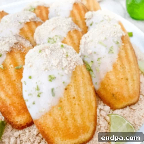 The Ultimate Collection of Tangy Lime Desserts 36 Key lime pie madeleines with their classic shell shape, dusted with powdered sugar.