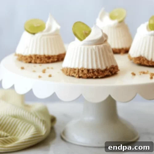 The Ultimate Collection of Tangy Lime Desserts 37 Small mascarpone key lime mini pies in individual servings, garnished with lime slices.