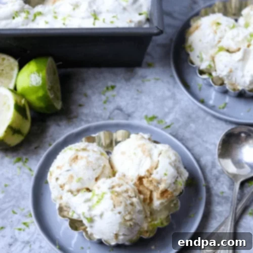 The Ultimate Collection of Tangy Lime Desserts 39 Scoops of cookies and cream key lime ice cream with cookie pieces.