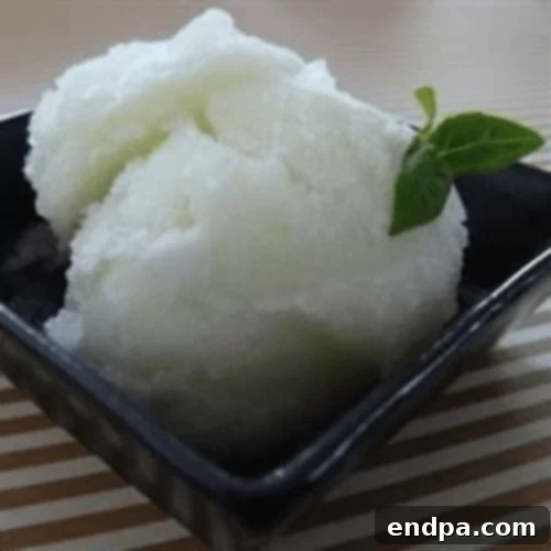 The Ultimate Collection of Tangy Lime Desserts 45 Vibrant pink cactus fig and lime sorbet in a glass with mint.