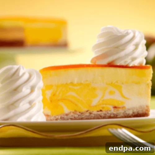 The Ultimate Collection of Tangy Lime Desserts 49 Slice of coconut lime cheesecake topped with mango coulis and fresh fruit.