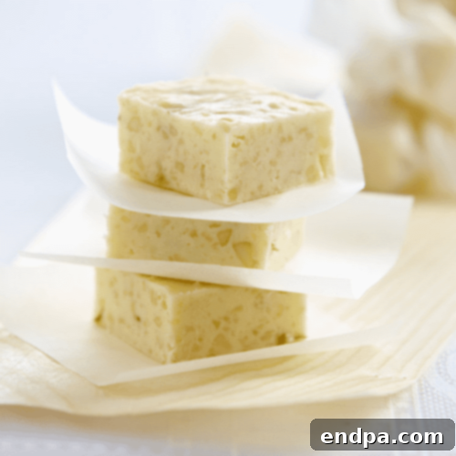 The Ultimate Collection of Tangy Lime Desserts 55 Pieces of lime and macadamia fudge with lime zest and chopped nuts.