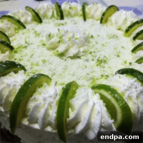 The Ultimate Collection of Tangy Lime Desserts 58 Slice of no-bake lime mousse torte with a gingersnap crust.