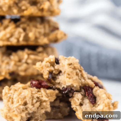 Hearty and wholesome Breakfast Cookies.