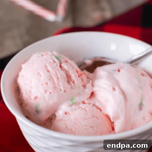 Smooth and creamy No Churn Peppermint Ice Cream with candy cane pieces.