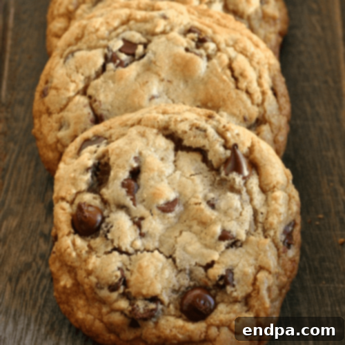 Perfectly baked Gluten Free Chocolate Chip Cookies with gooey centers.