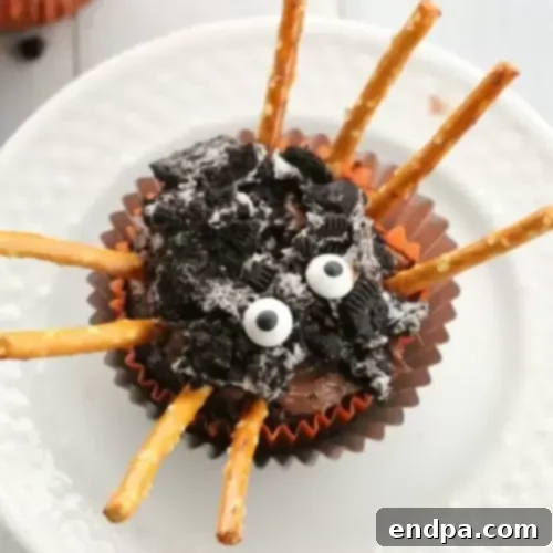 Spooky Easy Spider Cupcakes topped with dark frosting, pretzel legs, and candy eyes, perfect for Halloween.