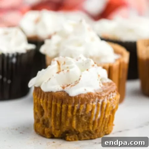 Individual Pumpkin Pie Cupcakes adorned with a swirl of whipped cream and a sprinkle of cinnamon.