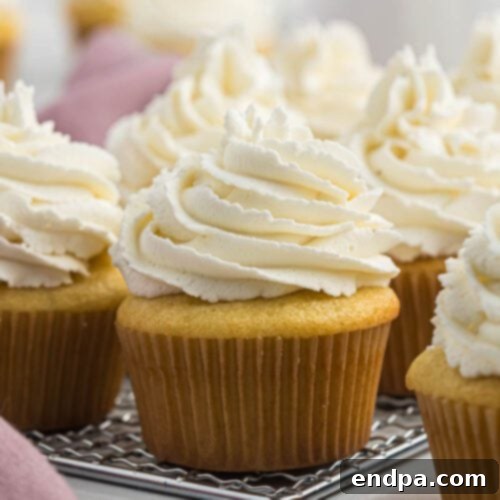 Classic Homemade Vanilla Cupcakes with a swirl of white buttercream frosting, ready to be decorated.