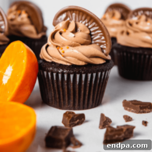 Rich Chocolate Orange Cupcakes topped with a decadent chocolate orange ganache and a delicate orange zest.