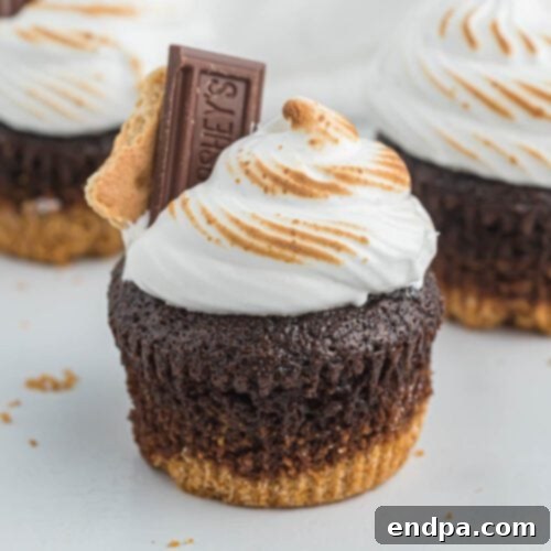 Decadent S'mores Cupcakes topped with toasted marshmallow frosting and graham cracker crumbles.