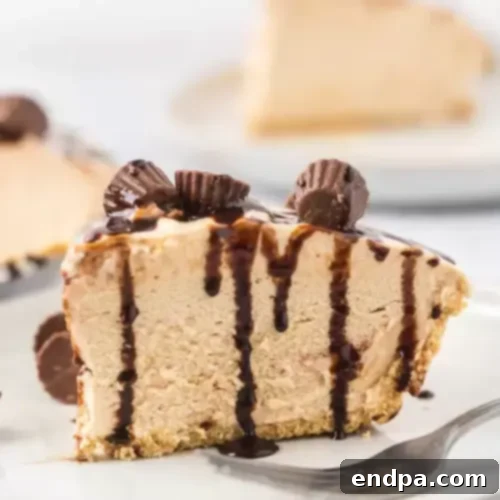 A slice of no-bake peanut butter pie with chocolate drizzle.