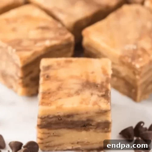 Peanut butter chocolate chip fudge squares.
