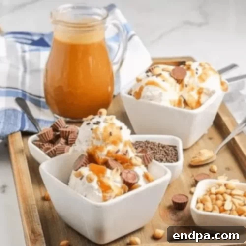 A scoop of ice cream with peanut butter topping.