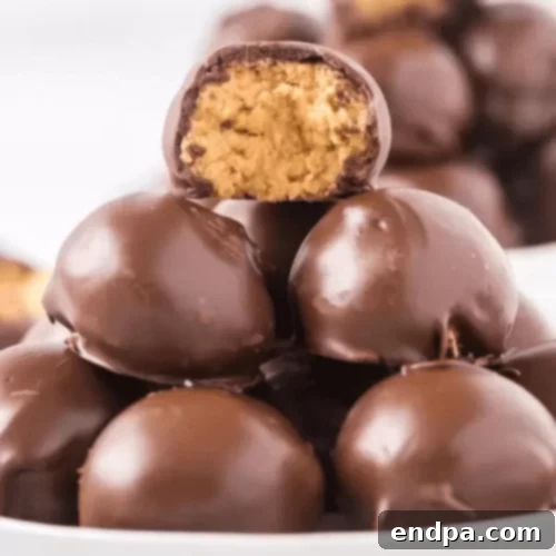 Chocolate peanut butter balls with visible Rice Krispies.