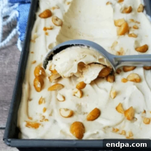 No-churn peanut butter ice cream with honey roasted peanuts in a dish.
