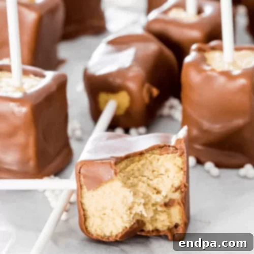 Chocolate covered peanut butter cheesecake pops on sticks.