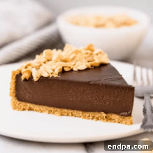 A slice of chocolate peanut butter pudding pie.