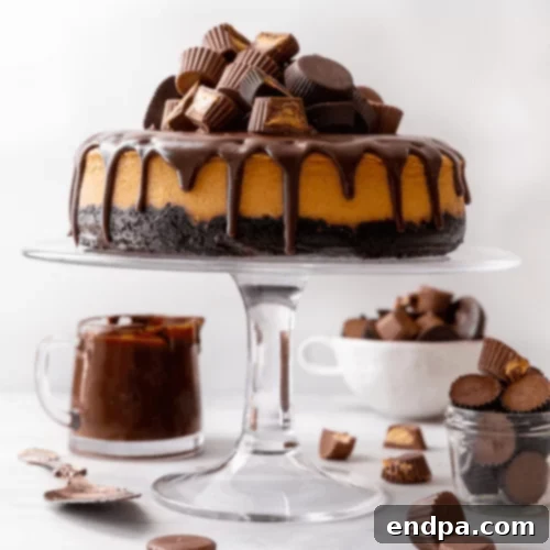 Chocolate covered peanut butter cheesecake with Reese's cups.