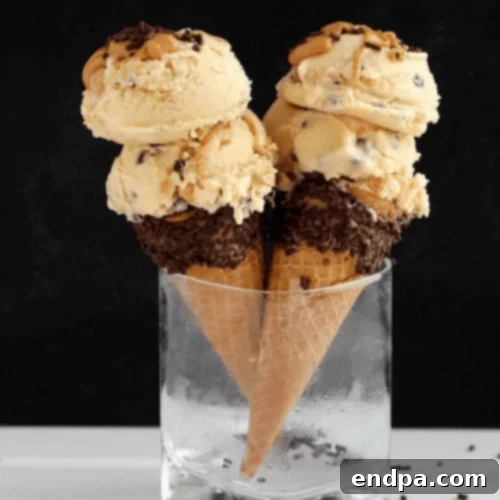 Peanut butter chocolate chip ice cream in a bowl.