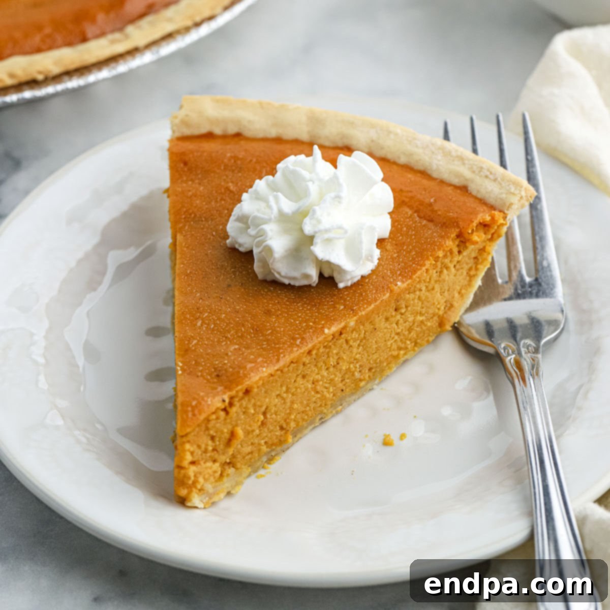 A beautiful slice of Eagle Brand Pumpkin Pie topped with whipped cream, garnished with a sprinkle of cinnamon.