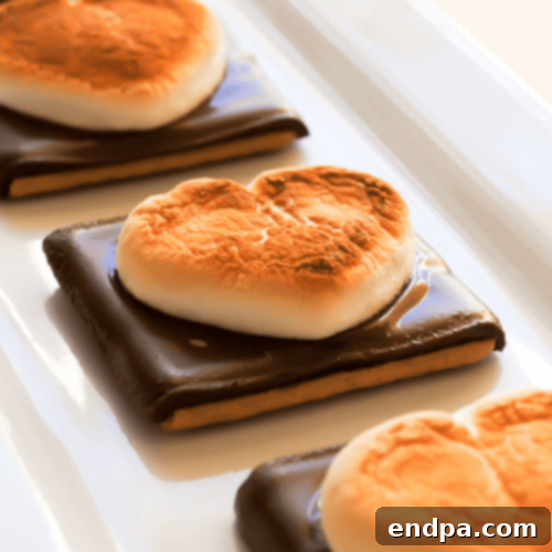 Heart-Shaped S’more Cookies