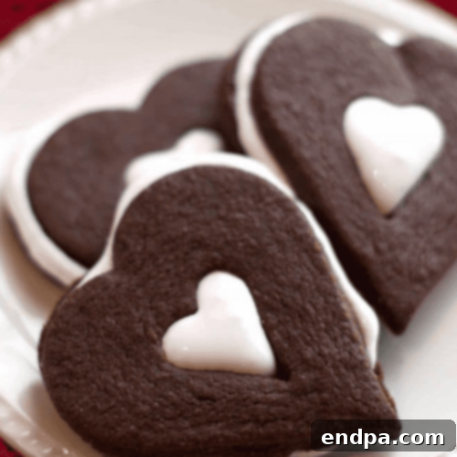 Chocolate Marshmallow Sandwich Cookies