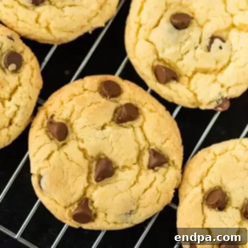 Easy Cake Mix Chocolate Chip Cookies
