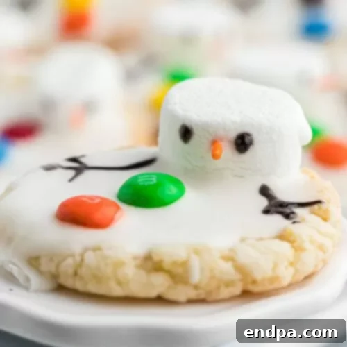 Cute Melting Snowman Cookies on a white plate