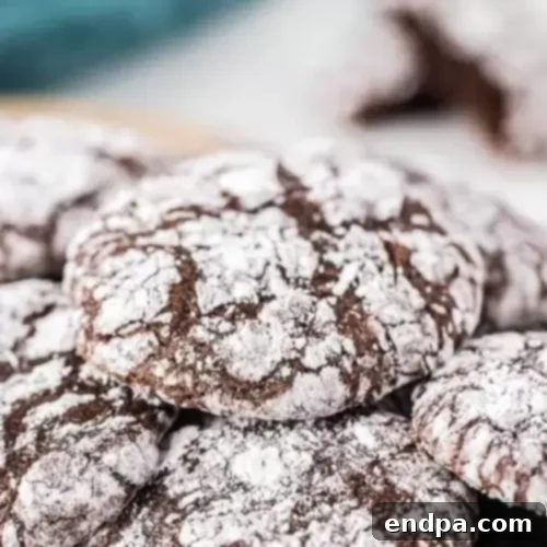Fudgy Chocolate Brownie Cookies