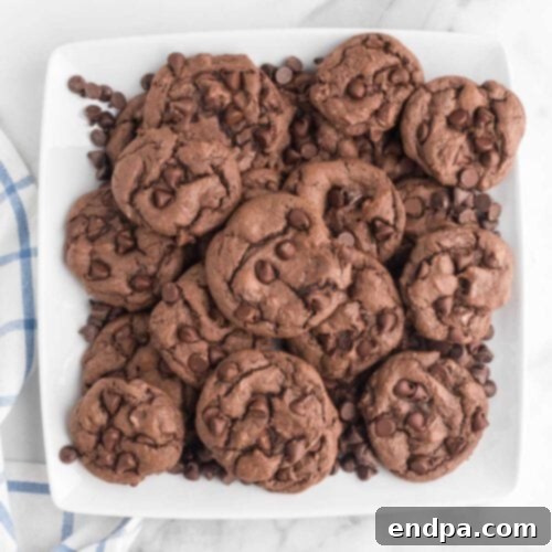Chocolate chip cookies on a white plate.
