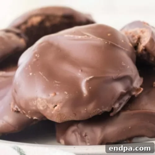 Mint-flavored Copycat Thin Mint Cookies coated in chocolate