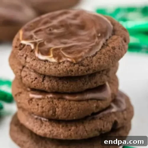 Decadent Chocolate Andes Mint Cookies with minty flavor