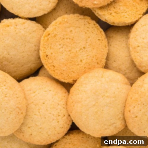Soft and fluffy Homemade Vanilla Wafer Cookies