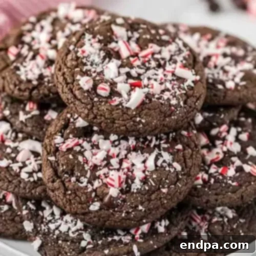 Double Chocolate Peppermint Cookies with crushed candy canes
