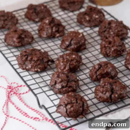 Flourless Chocolate Pecan Cookies on a white plate.