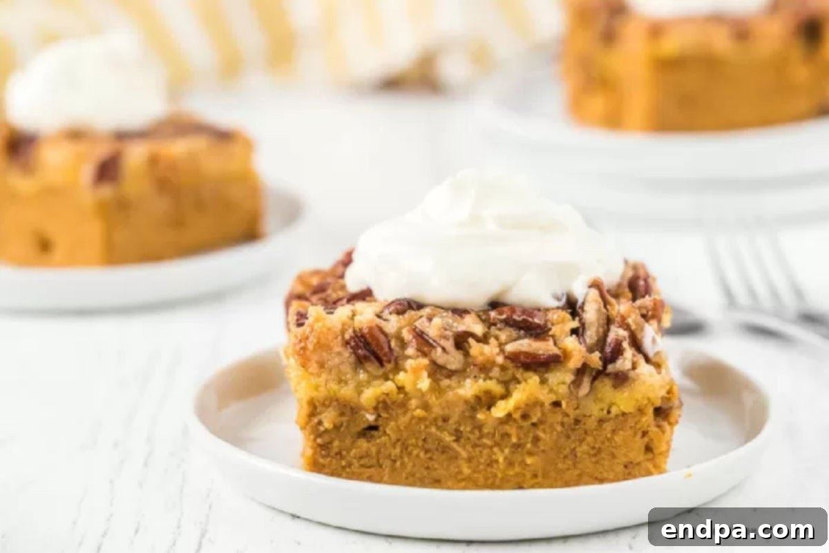 A slice of warm pumpkin dump cake on a plate, adorned with a generous dollop of whipped cream.