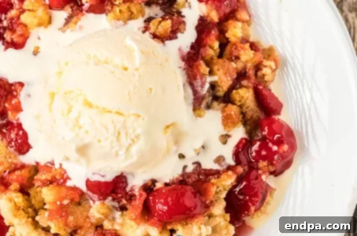 A bowl of baked cherry dump cake, warm and golden brown, served with a scoop of vanilla ice cream on top, ready to be enjoyed.