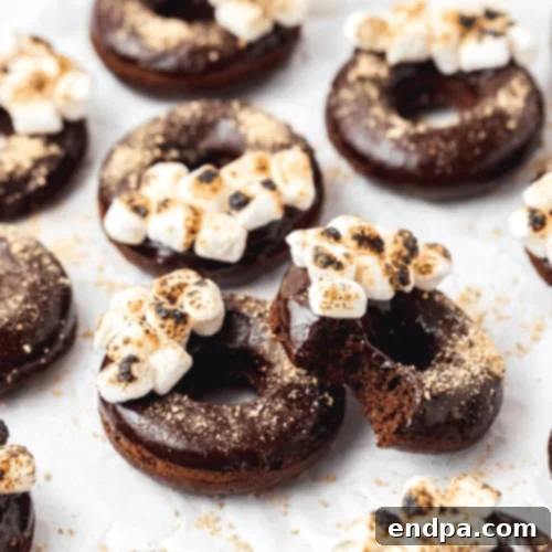 S’mores Donuts topped with toasted marshmallows and graham cracker crumbs.