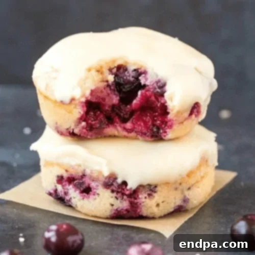 Blueberry Donuts, fluffy and cakey, packed with fresh blueberries.